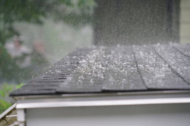 Best Emergency Roof Repair Services  in Hoback, WY